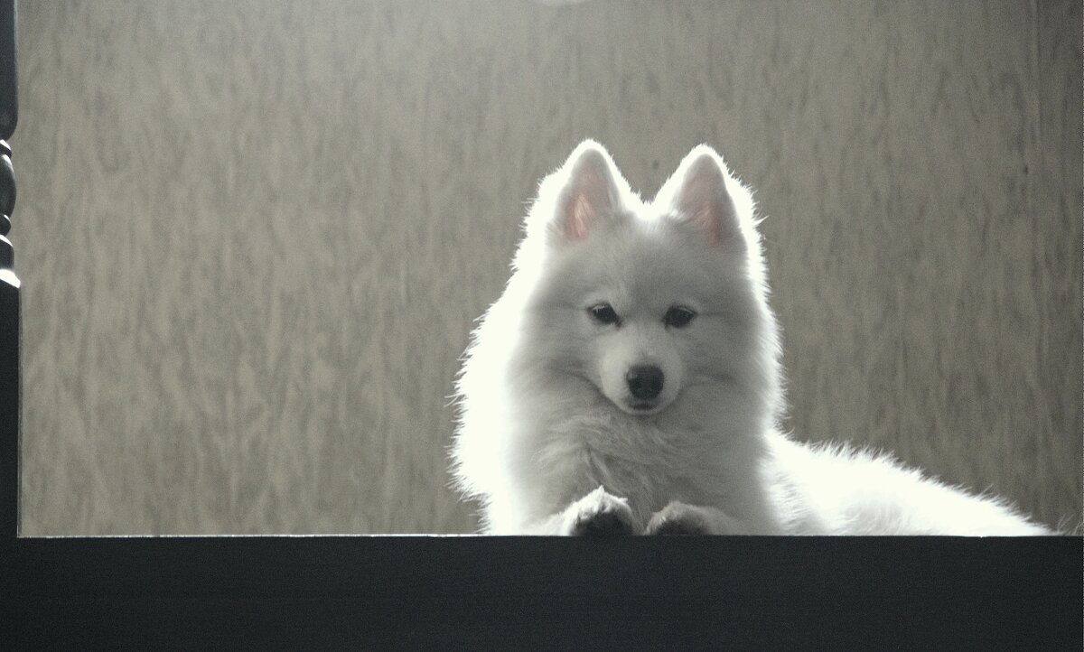 Друг - Елена Минина