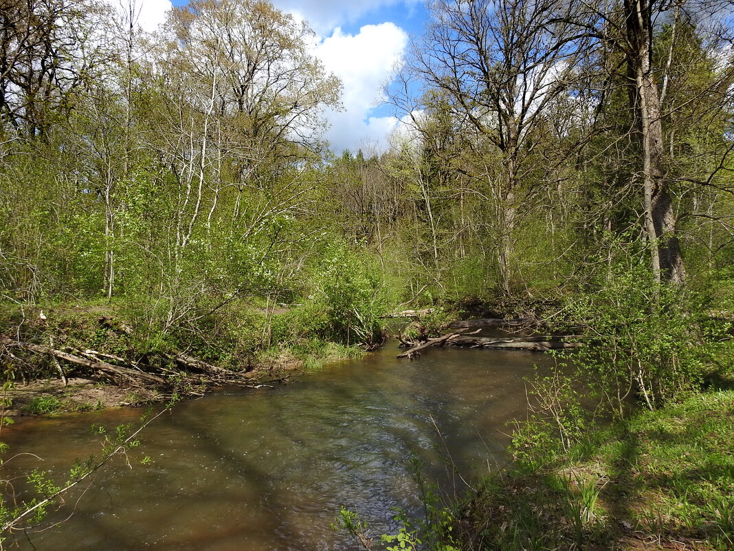 весна - ИННА ПОРОХОВА весна - ИННА ПОРОХОВА