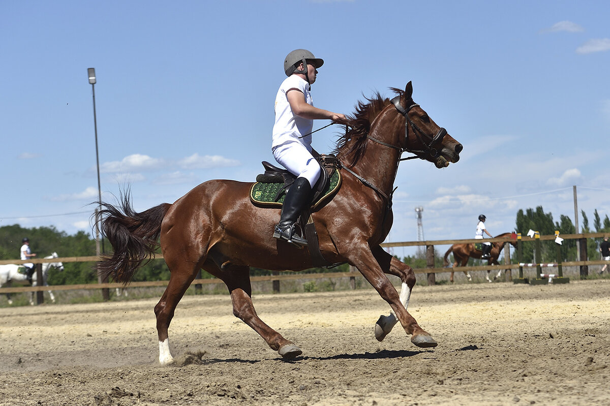 Сила и Красота! - Александр Гриднев