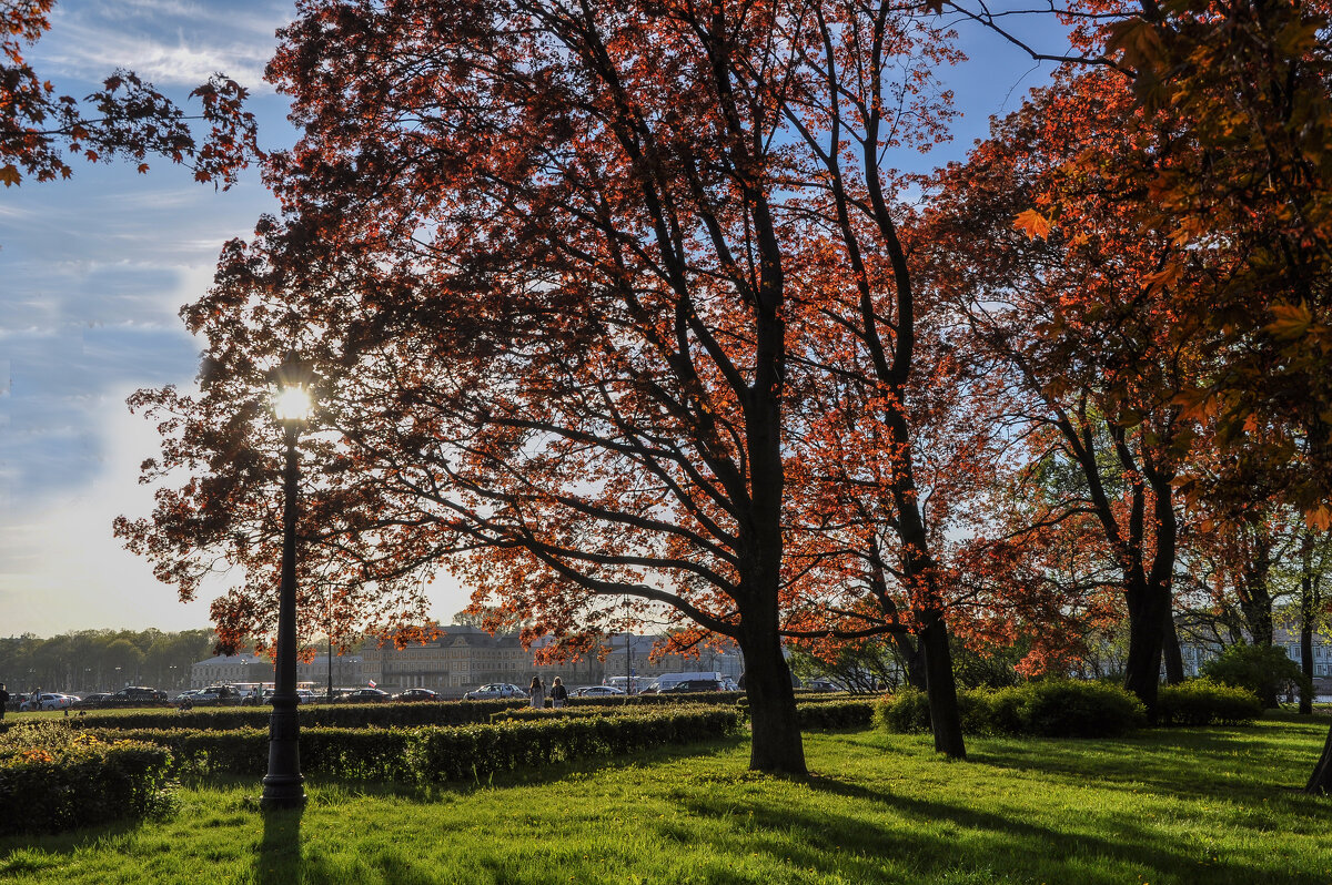 Александровский сад - Татьяна Машошина Александровский сад - Татьяна Машошина