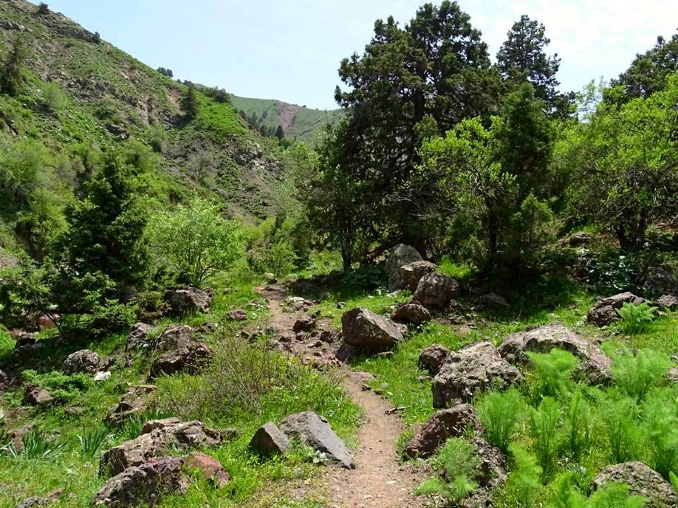 ПО ГОРАМ. - Виктор Осипчук