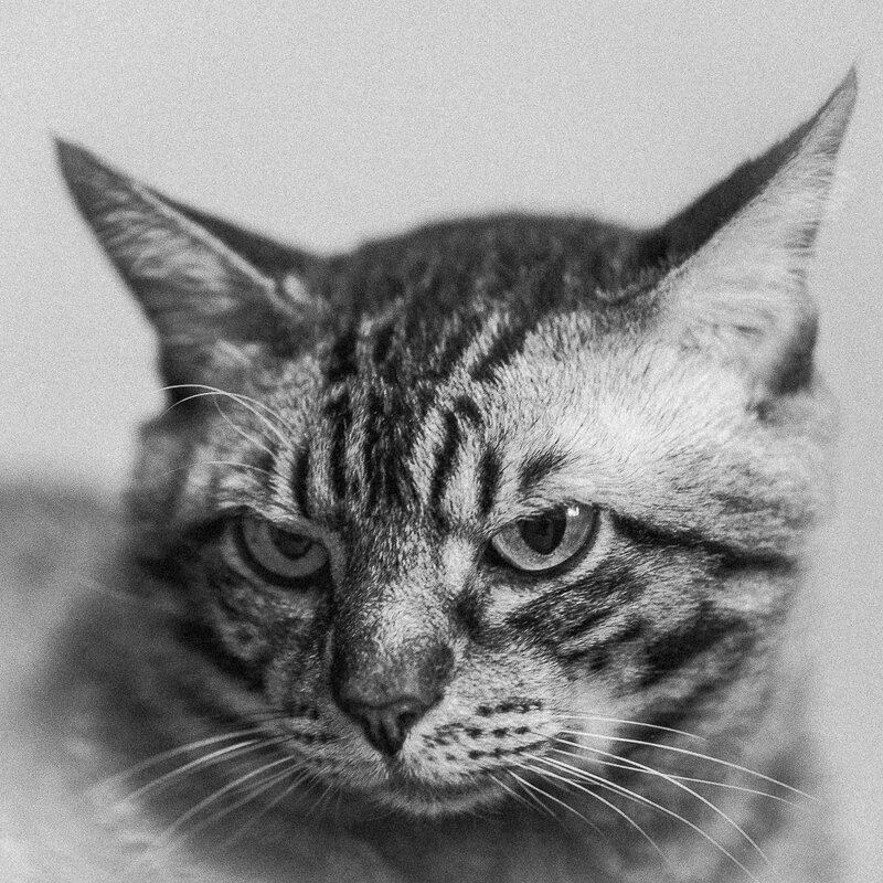 Оставь меня старушка, я в печали... - Жора Житников