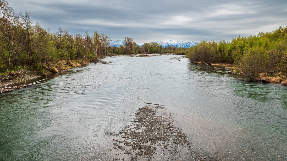... - Жора Житников ... - Жора Житников