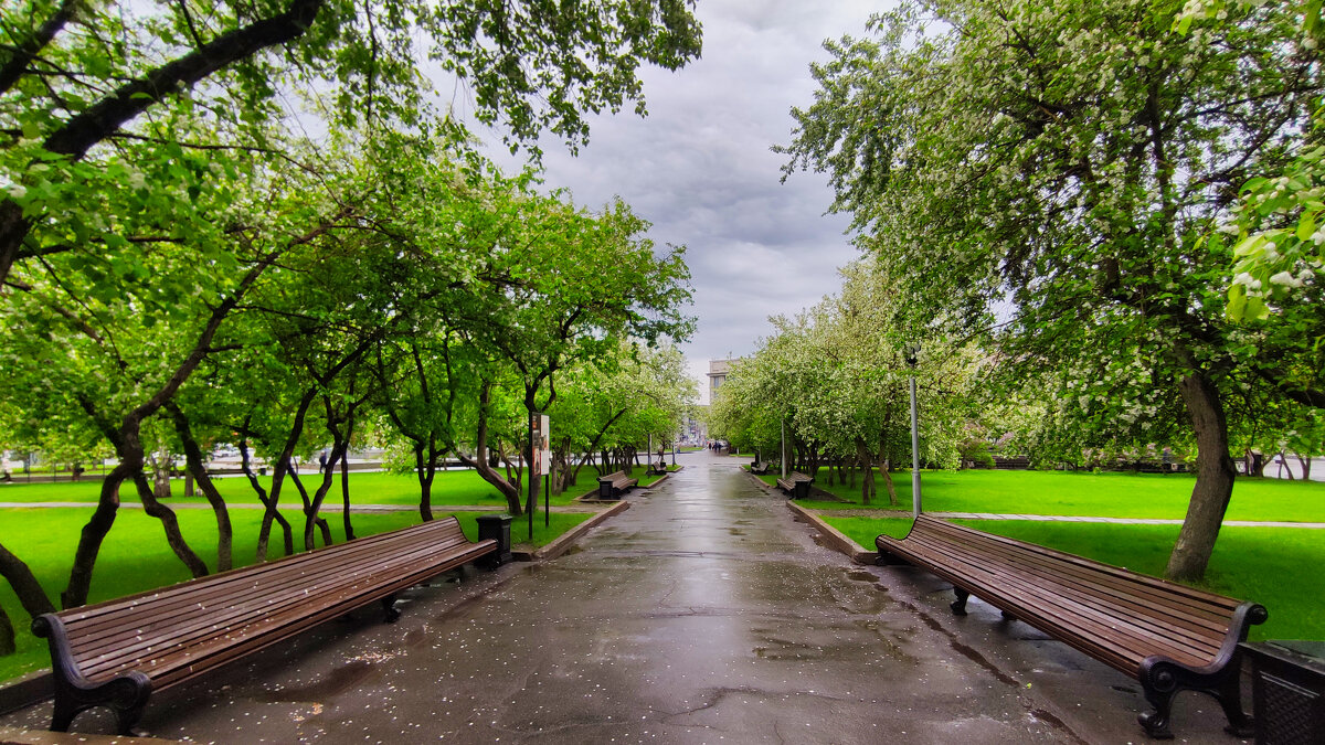 Майский парк - Dmitry i Mary S