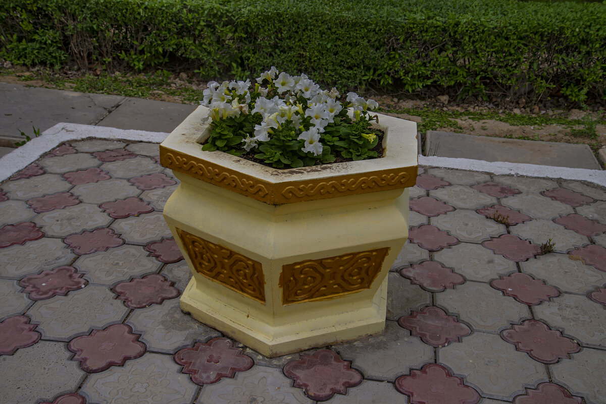 Малые формы - Анатолий Чикчирный Малые формы - Анатолий Чикчирный