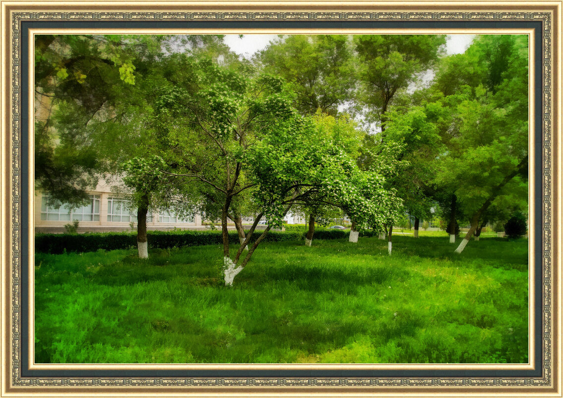 Боярышник - Анатолий Чикчирный Боярышник - Анатолий Чикчирный