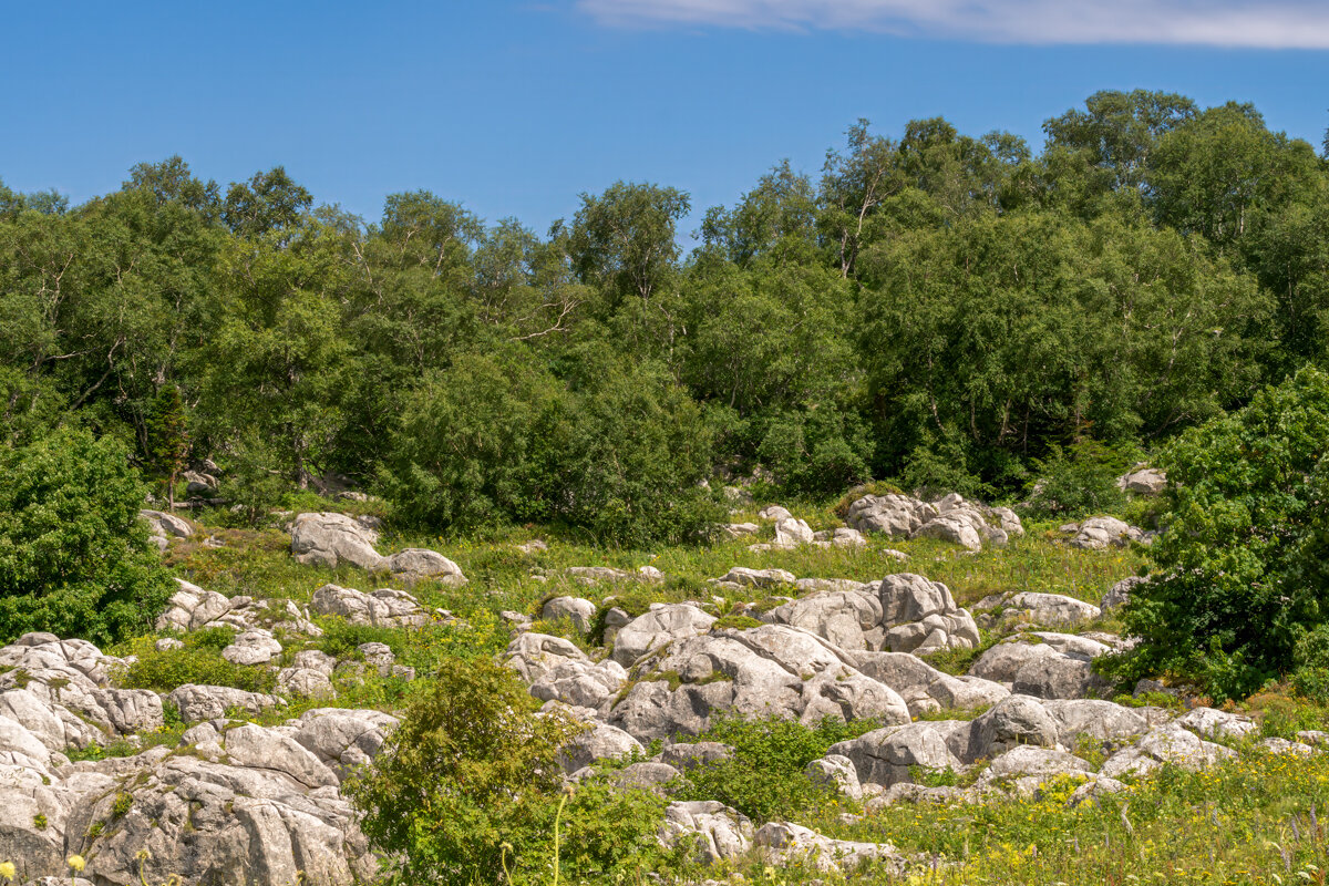 Адыгея - Игорь Сикорский