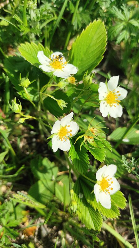 На косогоре - Татьяна Лютаева