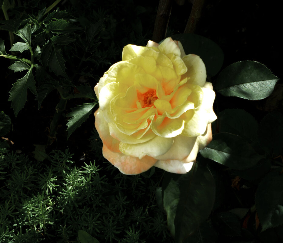 Глория Дей - Валентин Семчишин