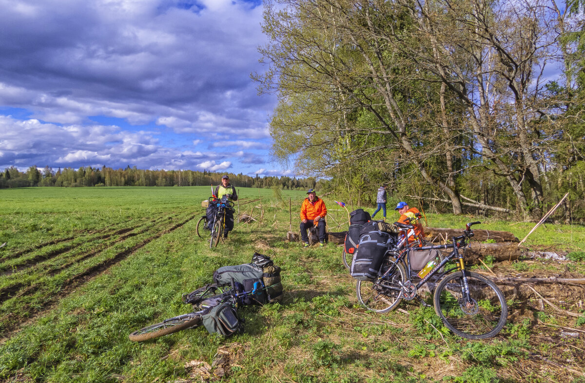 Передышка - Сергей Цветков