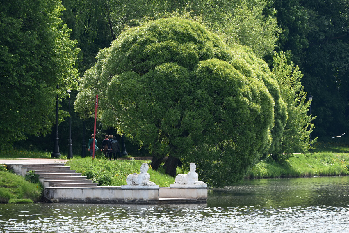 Москва. Парк Царицыно. - Наташа ***** Москва. Парк Царицыно. - Наташа *****