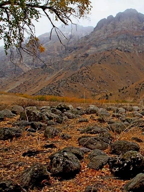 ПО ГОРАМ, осень. - Виктор Осипчук