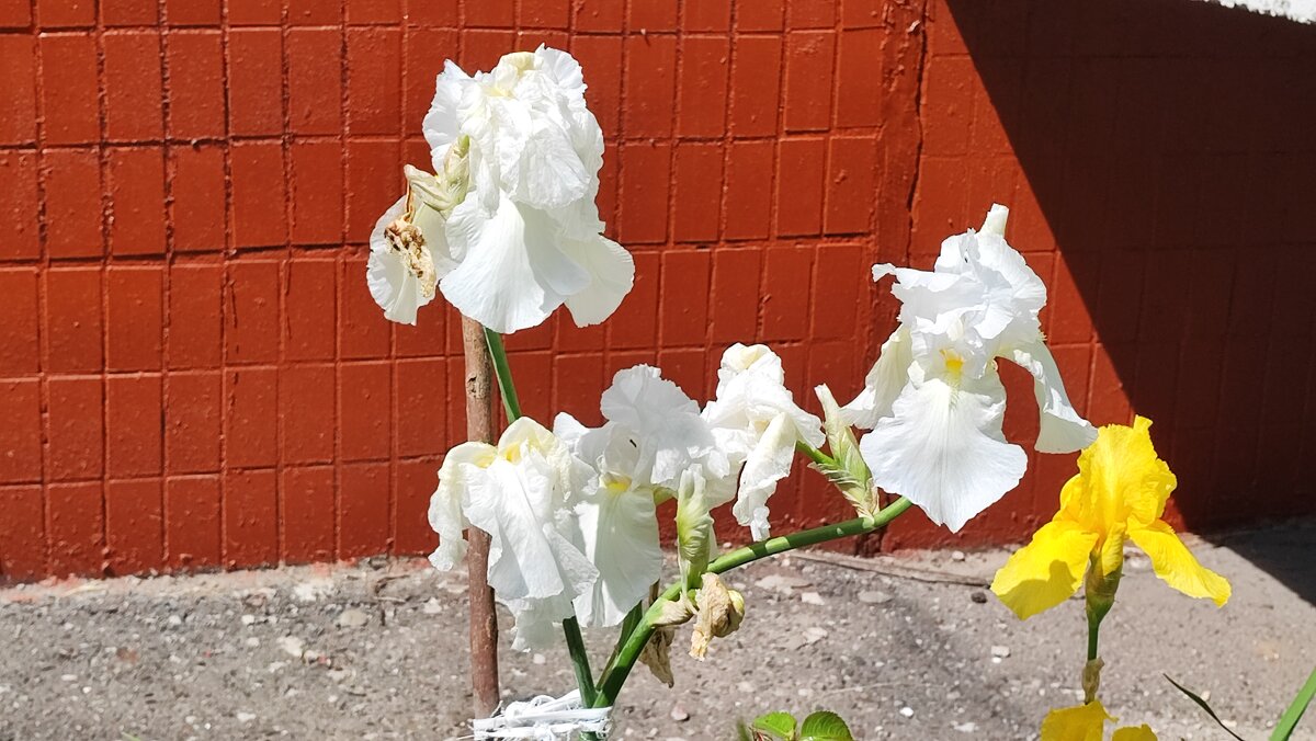 ,,, - Сергей Тимоновский