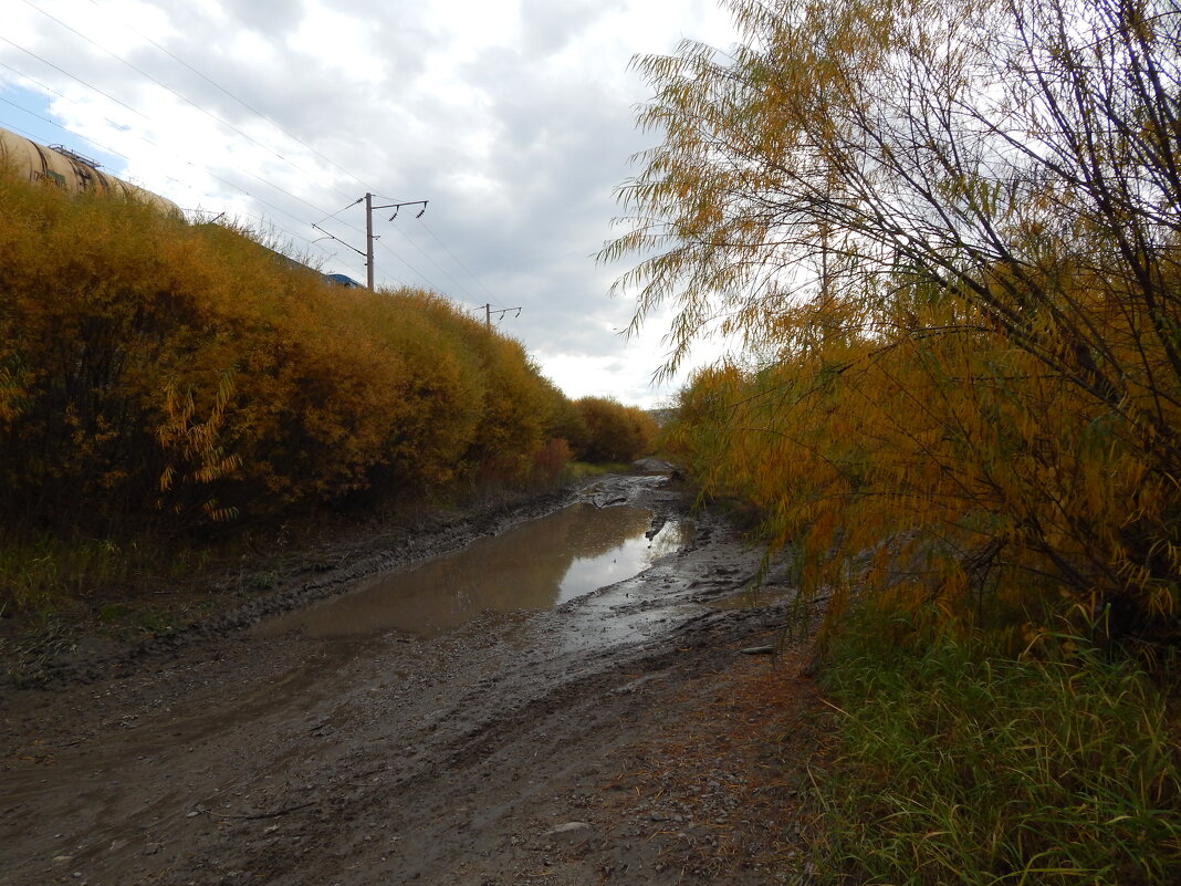 ул Аянская - Екатерина Панова ул Аянская - Екатерина Панова