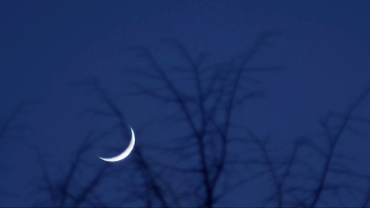 «Светит месяц, светит ясный...» - Михаил Андреев