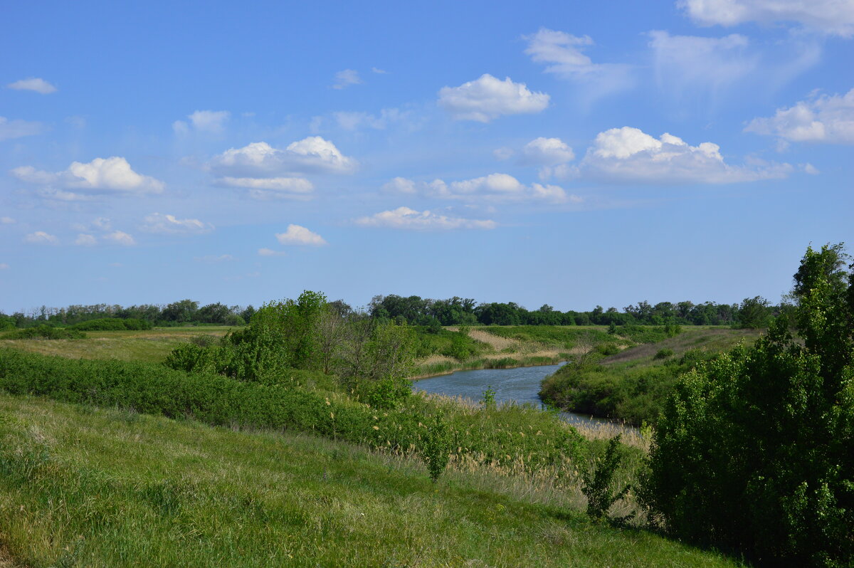 Местная река. - Виктор 