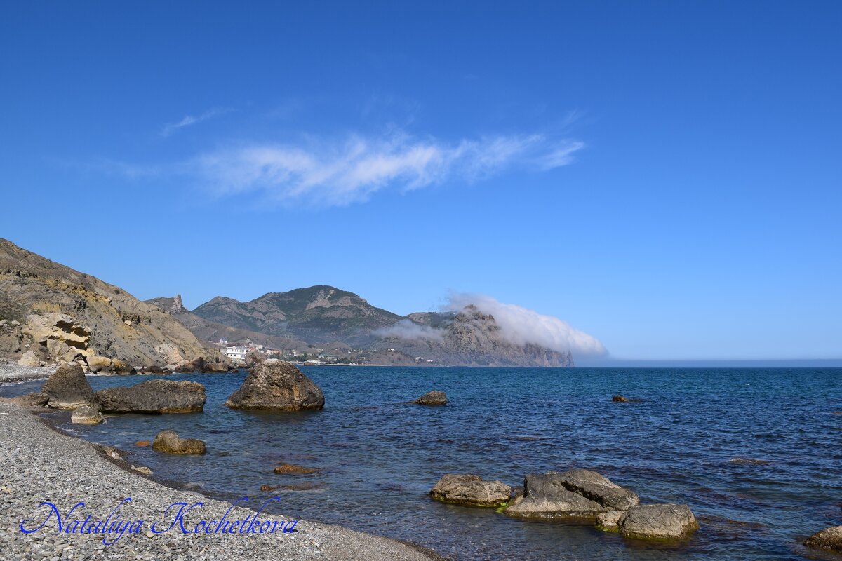 Природа Крыма - Amazing Cosmea Природа Крыма - Amazing Cosmea