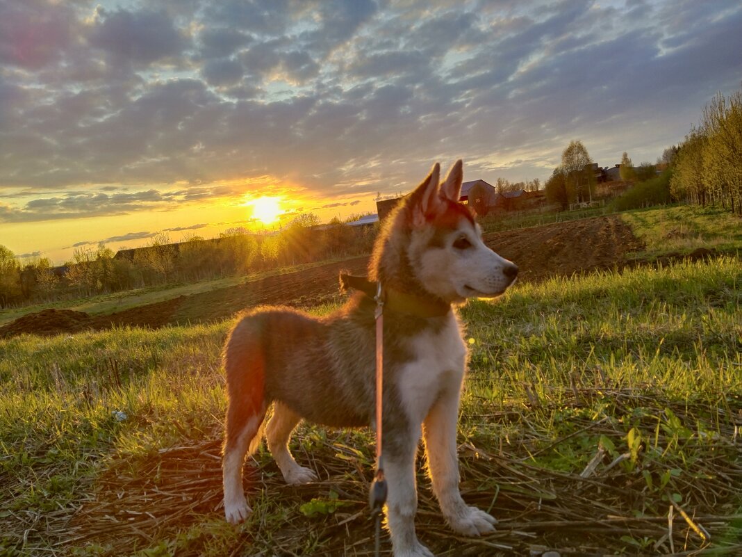 Кузя - Анастасия Логинова Кузя - Анастасия Логинова