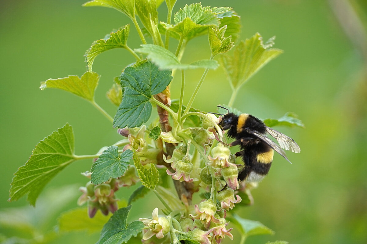 Ни минуты даром - Галина Кан Ни минуты даром - Галина Кан