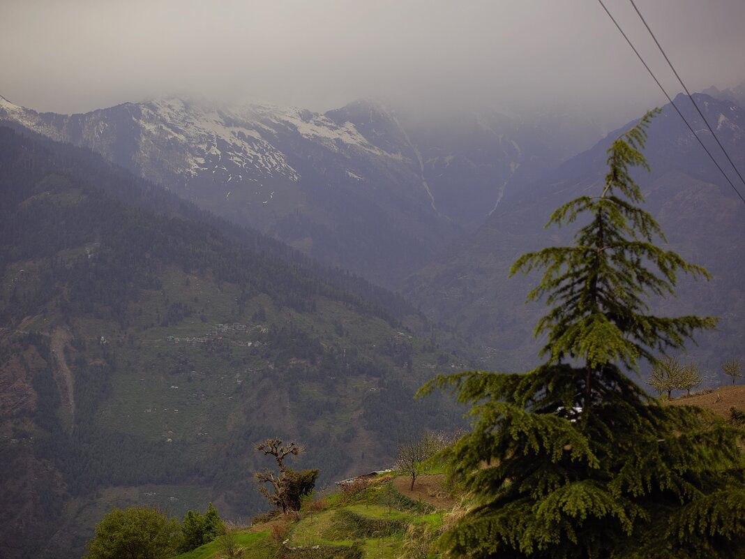 После дождя - liudmila drake