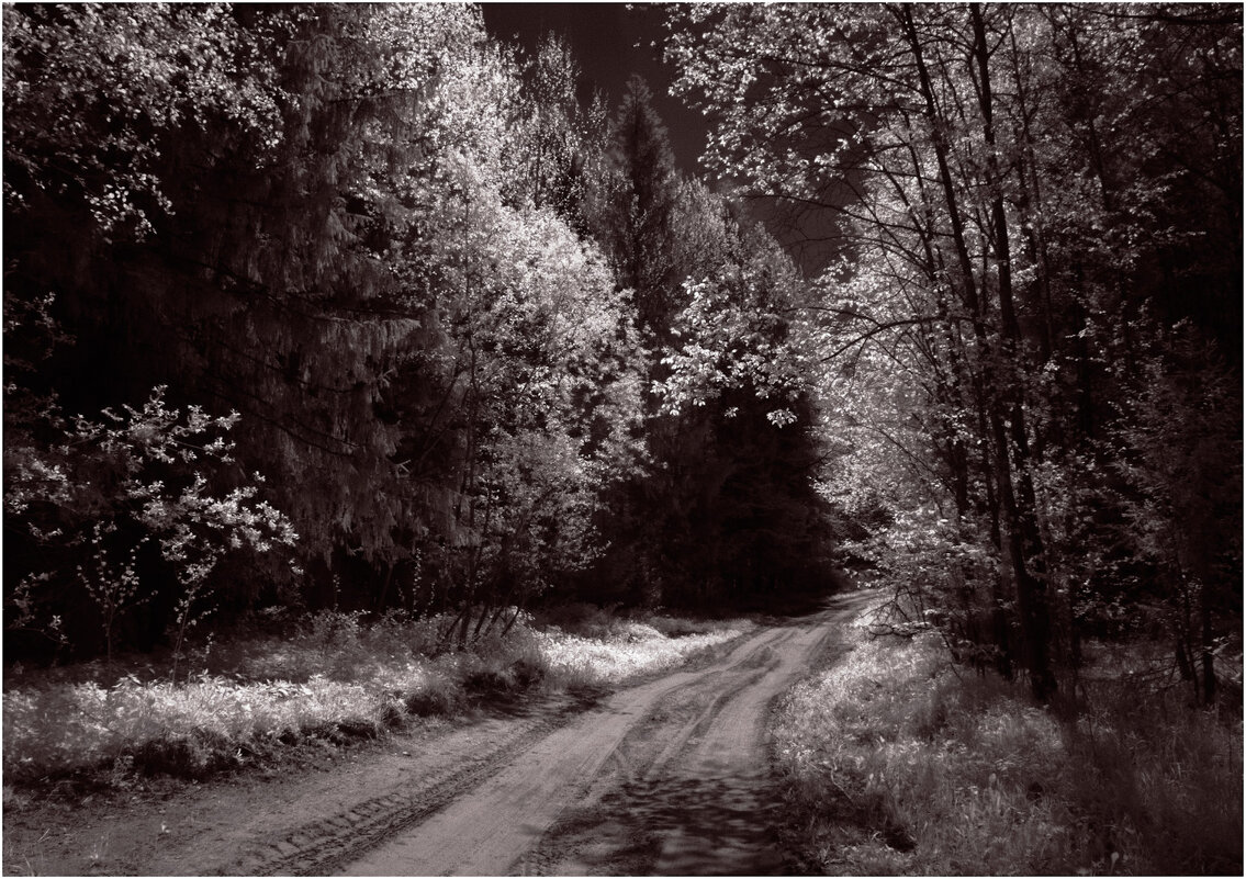 Дорога к бабушке Красной Шапочки ( инфракрасная фотография ) - Валентин Котляров Дорога к бабушке Красной Шапочки ( инфракрасная фотография ) - Валентин Котляров