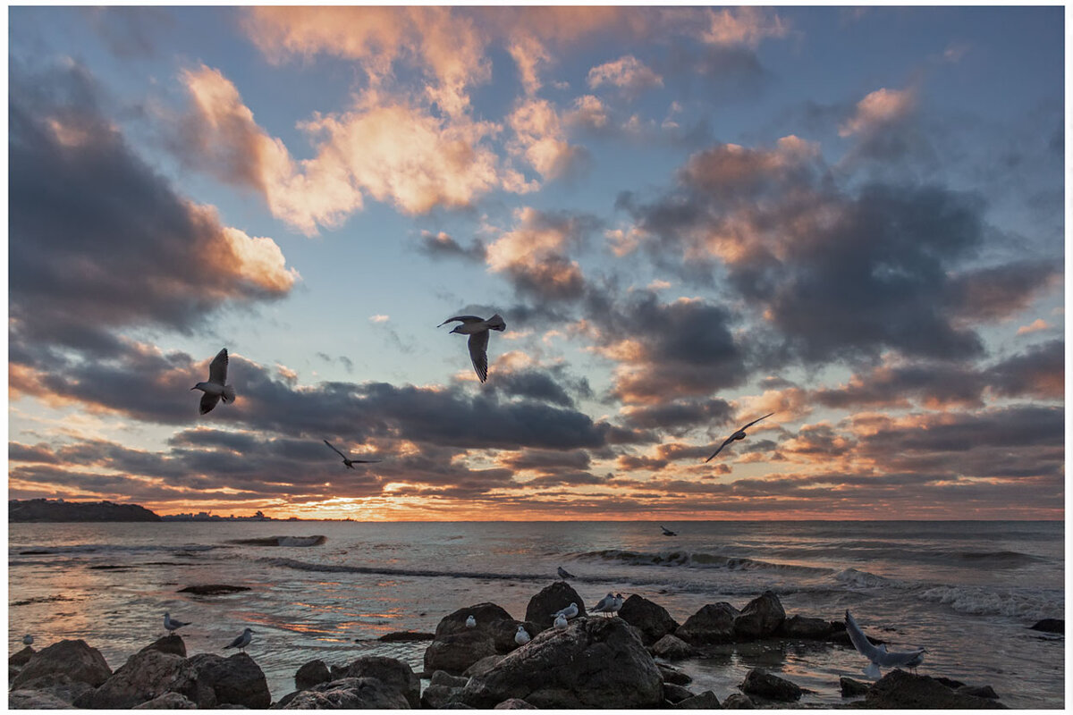 Закат - Виктор Закат - Виктор