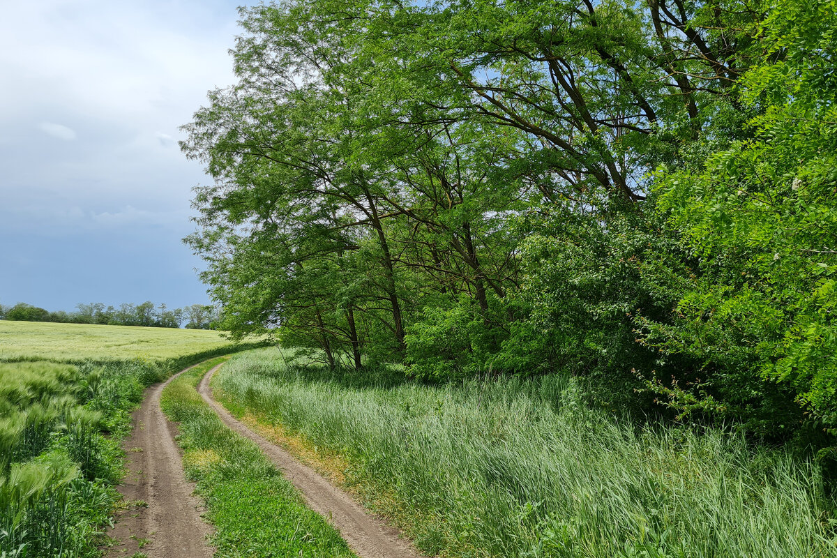 Скоро лето! - Валерий Ткаченко Скоро лето! - Валерий Ткаченко