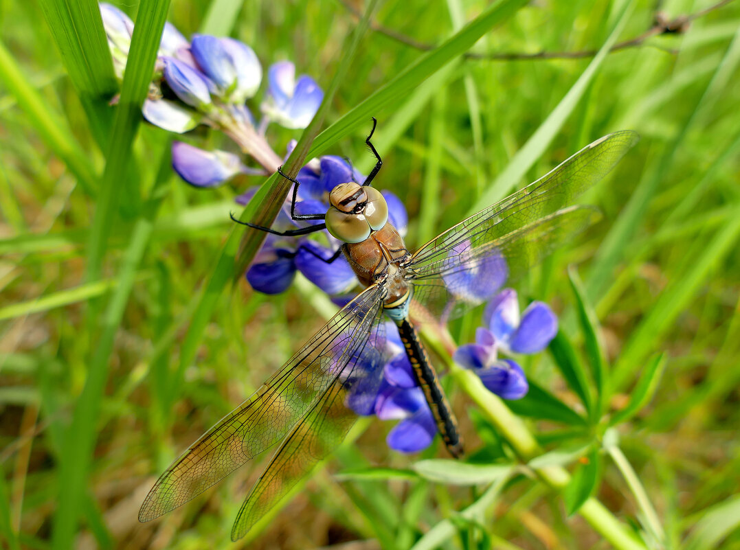 из вчерашней съемки 2 - Александр Прокудин из вчерашней съемки 2 - Александр Прокудин