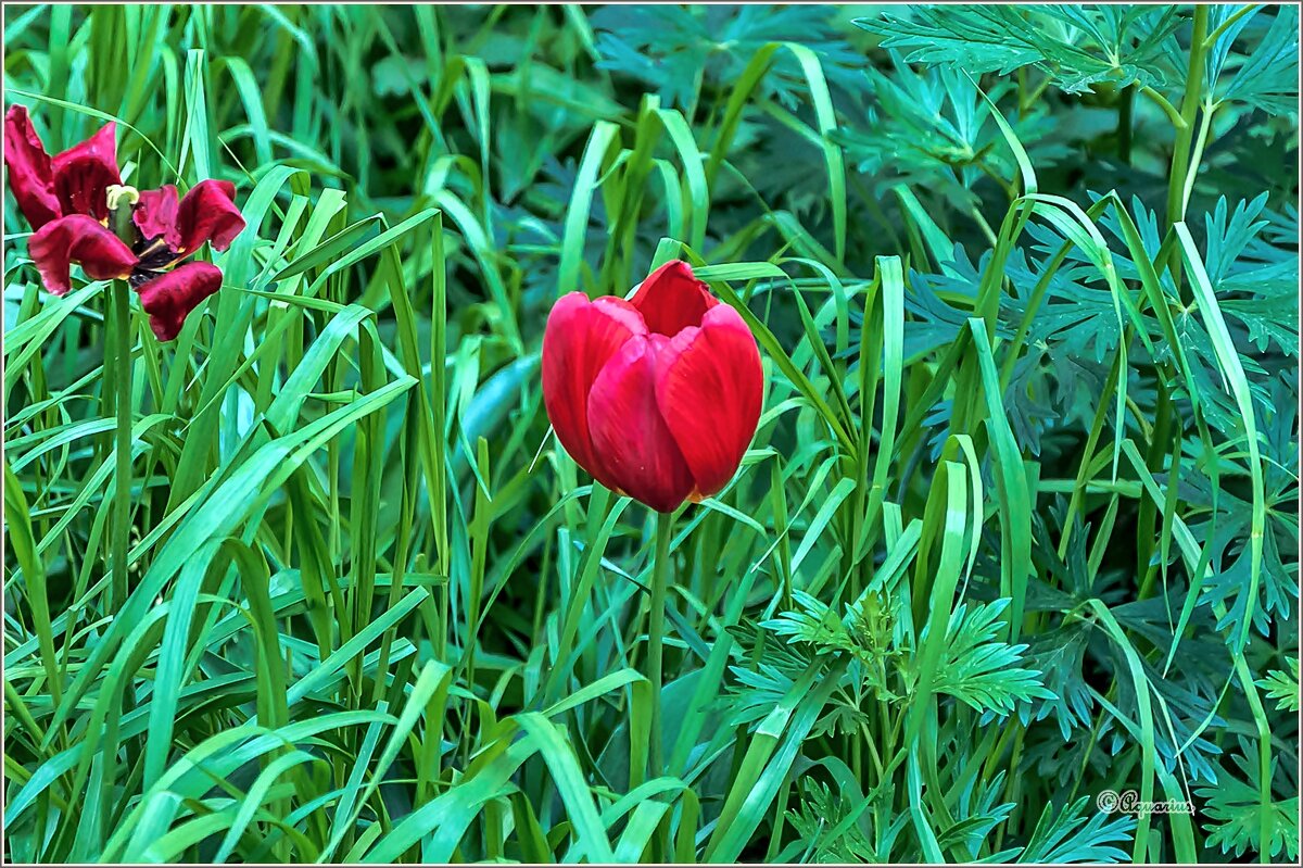 Май ... - Aquarius - Сергей Май ... - Aquarius - Сергей