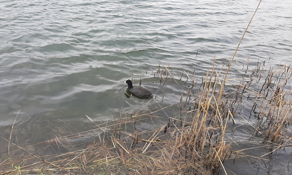 Неласковый май - Наталья Герасимова Неласковый май - Наталья Герасимова