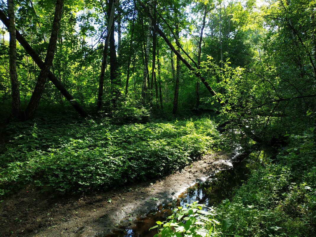 Лето совсем рядом - Андрей Лукьянов