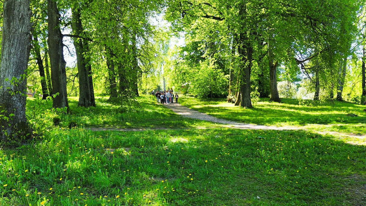 Дети на экскурсии в "Теремке". - Милешкин Владимир Алексеевич 