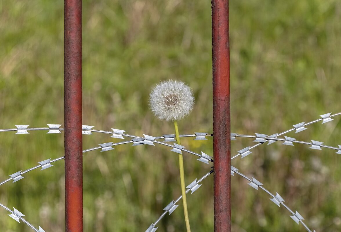 Вся жизнь за колючкой - Валерий Иванович Вся жизнь за колючкой - Валерий Иванович