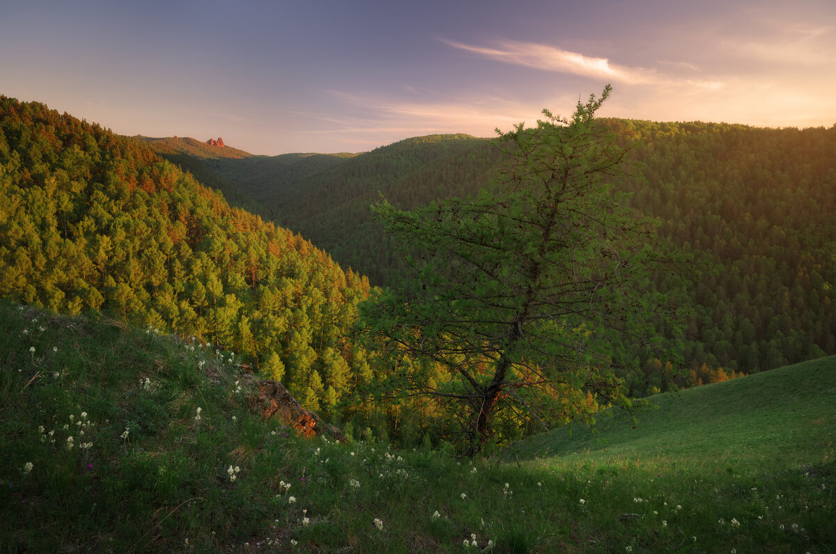 * - Александр Иванов