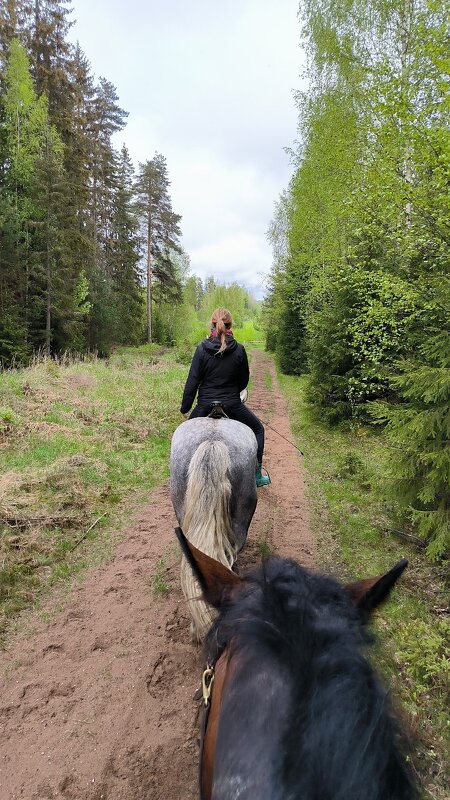 Прогулка. - Ольга 