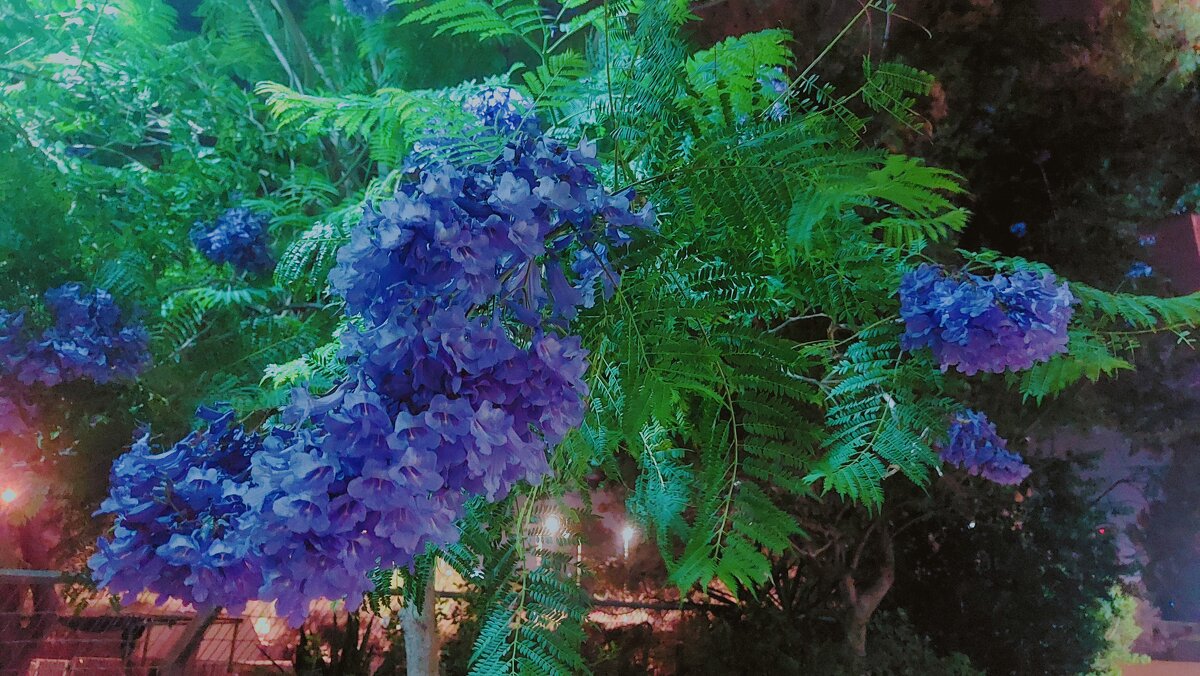 13  ОПЕН (81) - OPEN WAYS ALL