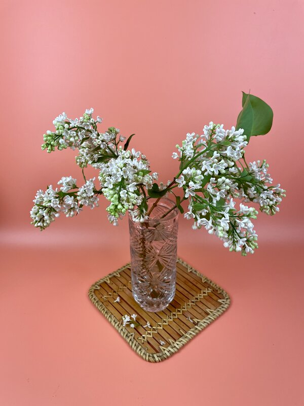 Сирень - Виктор Орехов Сирень - Виктор Орехов