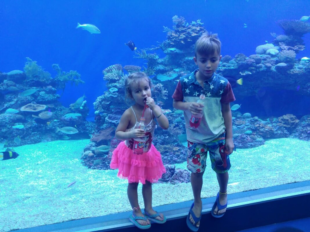 Фото на память! - Светлана Хращевская