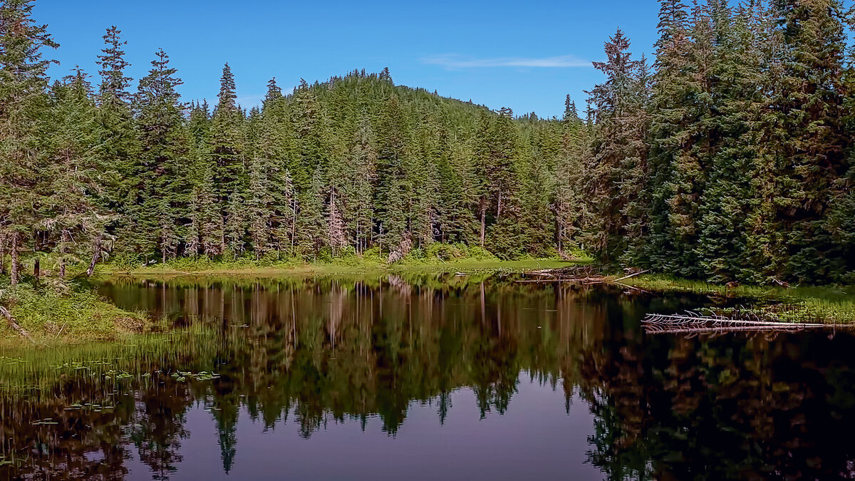 Аляска - Aleksey Afonin