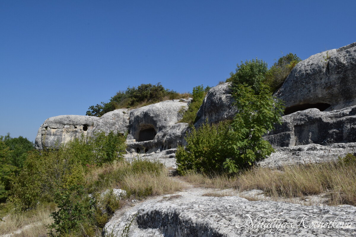 Природа Крыма - Amazing Cosmea Природа Крыма - Amazing Cosmea