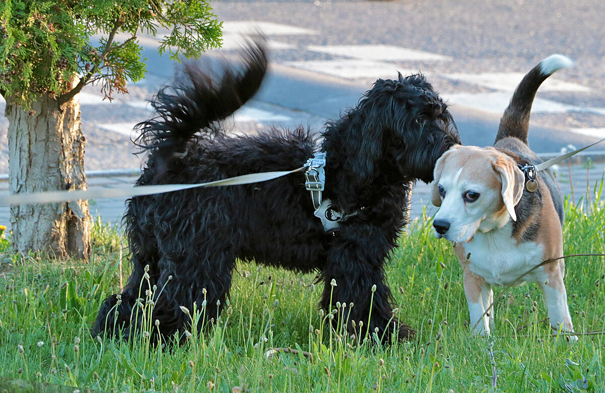 Пошепчу тебе на ушко (по секрету всему свету) - Светлана Пошепчу тебе на ушко (по секрету всему свету) - Светлана