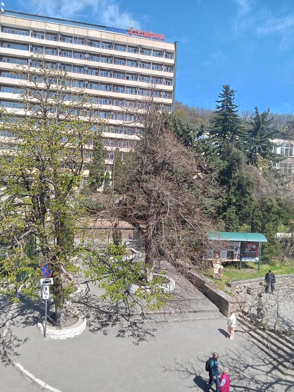 Вид из окон нашего корпуса - Виктор 