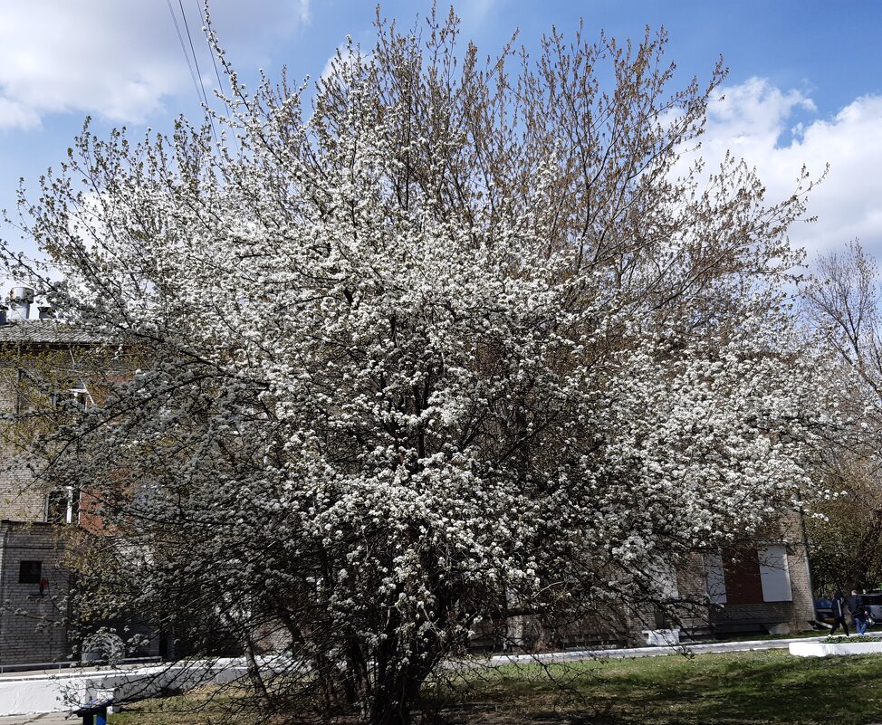Это было недавно... - Галина Минчук Это было недавно... - Галина Минчук