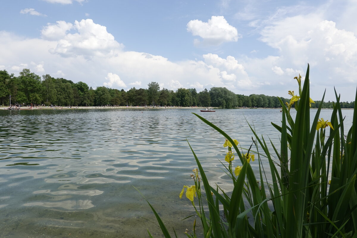 Я смотрел, как плывут облака весны уходящей - вдаль они уплыли… ...Кагава Кагэки.. - Галина Я смотрел, как плывут облака весны уходящей - вдаль они уплыли… ...Кагава Кагэки.. - Галина