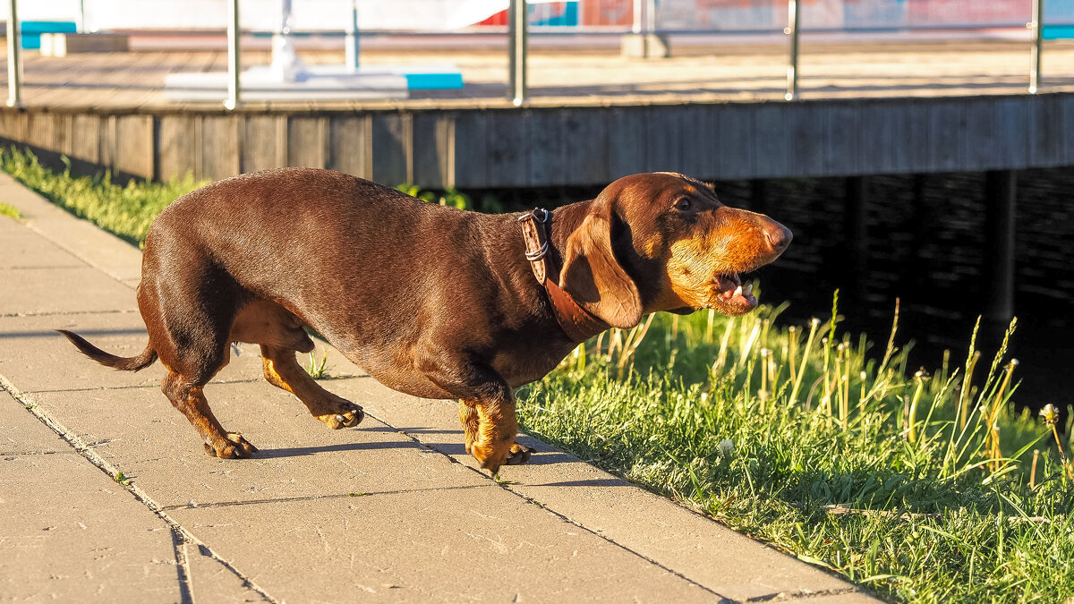 ***** - юрий поляков