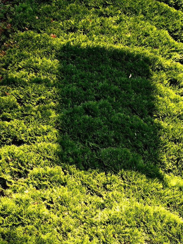 Весенние зарисовки 157 - Алексей Кузнецов