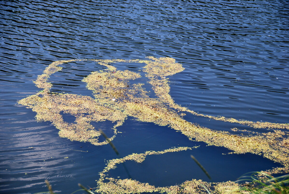 Я ОТМЫВАЮ ВАШ ПОРТРЕТ - Юрий Вовк Я ОТМЫВАЮ ВАШ ПОРТРЕТ - Юрий Вовк