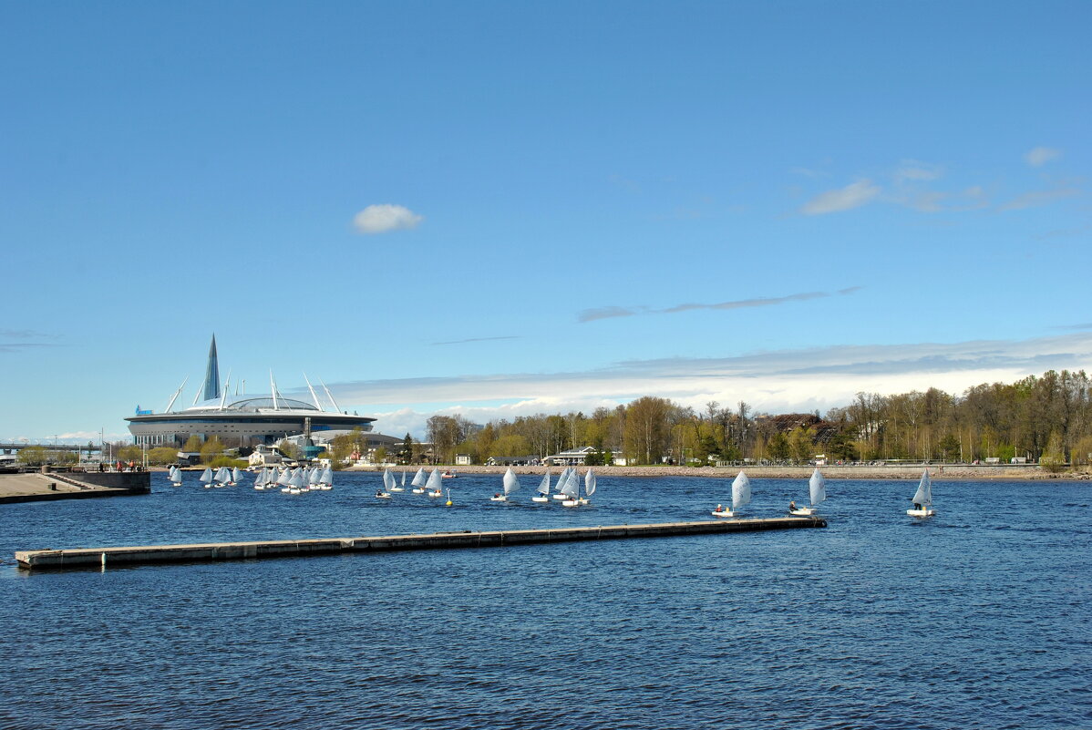 "Орлята учатся летать.." - AleksSPb Лесниченко "Орлята учатся летать.." - AleksSPb Лесниченко