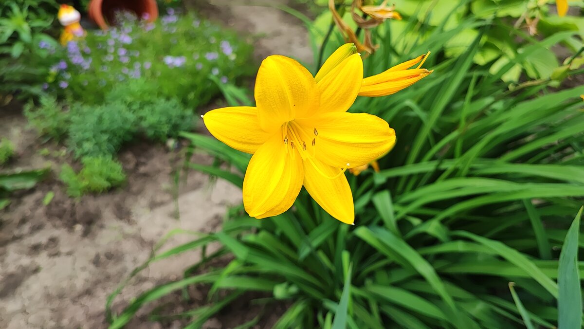 ,,, - Сергей Тимоновский