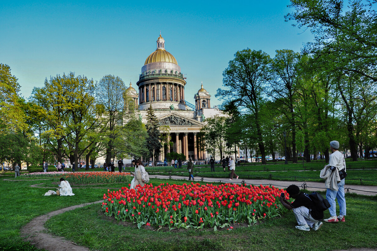 Питерская весна - Татьяна Машошина